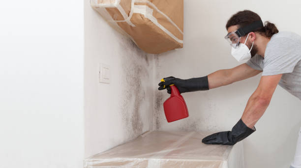 Professional Bathroom Mold Removal technician working in Kensington, MD