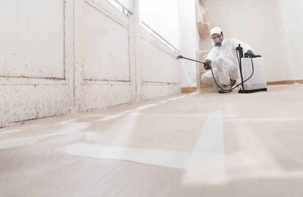 24/7 Emergency Bathroom Mold Removal experts in Kensington, MD